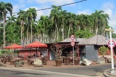 suriname1185