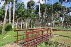 suriname1188