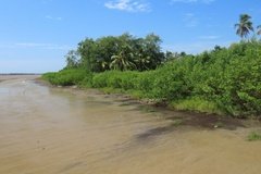 suriname1211