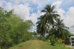 suriname1279