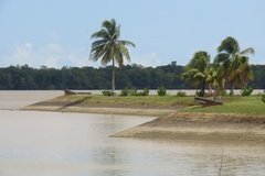 suriname1286