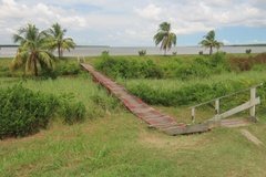 suriname1296