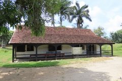 suriname1305