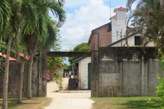 suriname1322