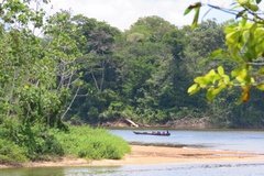 suriname2005