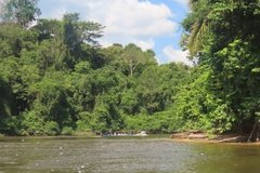suriname2025