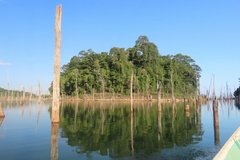 suriname3036