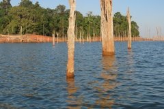 suriname3045