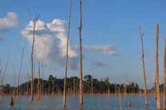 suriname3057