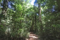 suriname3075