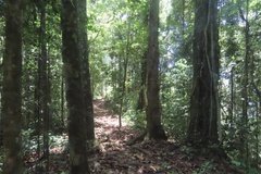 suriname3079