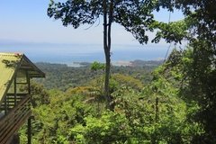 suriname3081