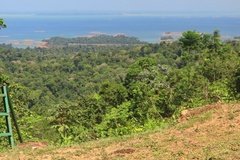 suriname3092