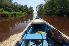 suriname4029