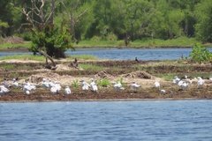 suriname4085
