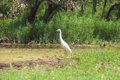 suriname4099