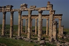 syrie1067