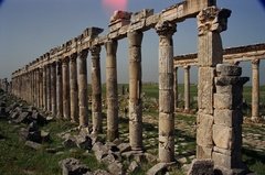 syrie1068