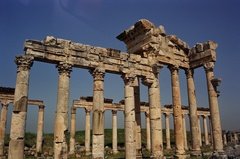 syrie1071