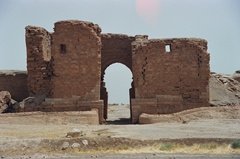 syrie1124