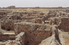syrie1135