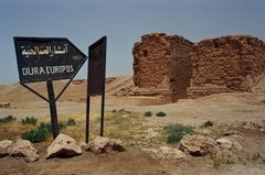 syrie1136