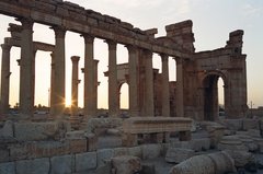syrie1147
