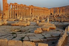 syrie1149