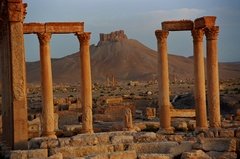syrie1150