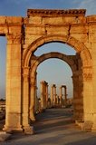 syrie1152