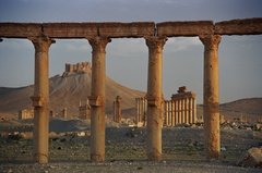 syrie1154