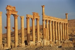 syrie1157