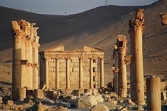 syrie1159