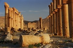 syrie1160