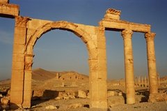syrie1161