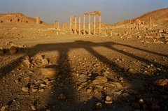syrie1162