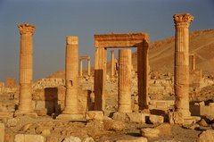 syrie1164