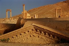 syrie1165