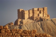 syrie1166