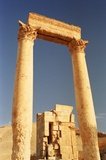 syrie1167