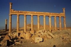 syrie1168