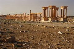 syrie1169