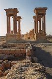 syrie1171