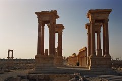 syrie1172