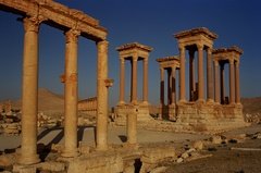 syrie1173