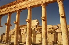 syrie1174