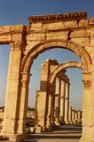 syrie1177