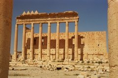 syrie1186
