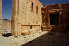 syrie1191