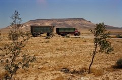 syrie1196